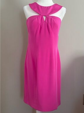 Hoaglund Pink Silk Dress 10 NWT